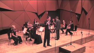 MHaydn Dmajor Flute Concerto III [upl. by Inohtna948]