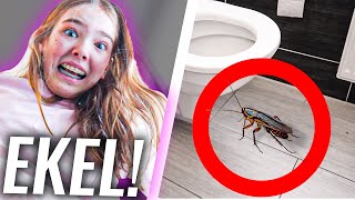 Riesen KAKERLAKE PRANK an kleine SCHWESTER 🤮 schreit [upl. by Akenor]