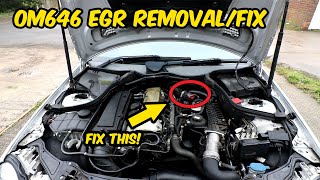 EGR VALVE FIX How to remove and fix mercedes 220 cdi OM646 EGR valve  No more EML [upl. by Dekeles]