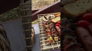 🌳野遊Grill 一 Grill 在公園使用CasusGrill進行燒烤野餐的經歷🍖 [upl. by Notsirk]