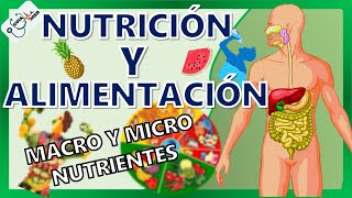 CONCEPTOS BÁSICOS DE NUTRICIÓN Y ALIMENTACIÓN  GuiaMed [upl. by Market650]