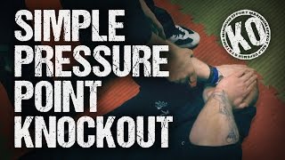 Simple Pressure Point Knockout [upl. by Courtney94]