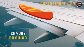 O Que São Essas Pontas Atrás das Asas dos Aviões [upl. by Bashemath783]