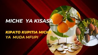 KUJIAJIRI KWA KUPITIA MICHE YA MATUNDA YA MUDA MFUPI [upl. by Diego676]