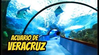 Asi es El Acuario de VERACRUZ el mas grande de Mexico [upl. by Oyam]