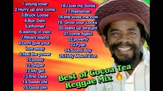 Best of Cocoa Tea Greatest Hits Latest Reggae Mix 2023  NizzyBob [upl. by Leerzej]