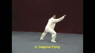 Tai Chi Yang Style 40 demonstration [upl. by Barnum]