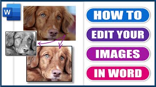 How to Edit Images in Word  Microsoft Word Tutorial [upl. by Alake]