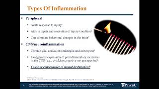 Psychoneuroimmunology Immune System and Neuroinflammation Basics Part 1 in PNI Series [upl. by Mariam]