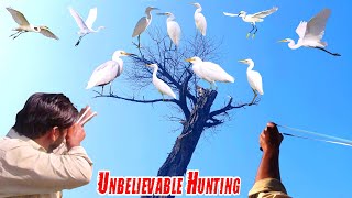 Unbelievable Cattle Egret Hunting With Handmade Slingshot [upl. by Alanna]