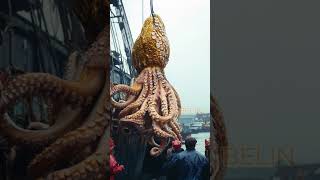 Giant Deep Sea Creature Caught by Fishermen🐙🦑🦀deepseafishing fishingexploration giantseacreature [upl. by Atinaj]