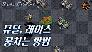 뮤탈 레이스 뭉치기  How to Stack Mutalisk amp Wraith in StarCraft Remastered Game [upl. by Kahcztiy681]