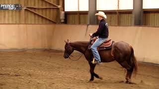 Westerntraining mit Felix Schnabel  Zirkel und Volten im Trab [upl. by Ecerahc]