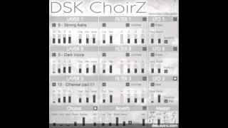 DSK ChoirZ  Free VST [upl. by Carrelli508]