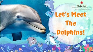 Lets Learn About Dolphins  preschool learning videos sea animals why are dolphins mammals [upl. by Patricia]