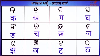 Odia Barnamala ¦¦ Hindi Alphabets ¦¦ Odia Barnabodha ¦¦ Vowels and Consonants Odia to hind [upl. by Hanforrd135]