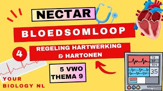 5 vwo  Bloedsomloop  4  Regeling hartwerking amp harttonen [upl. by Mariam]