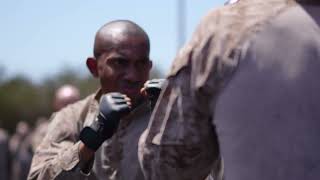 SNEAK PEEK at the US Marine Corps Martial Arts Program [upl. by Guntar]