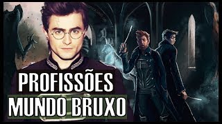 AS PROFISSÕES EM HARRY POTTER [upl. by Attela]