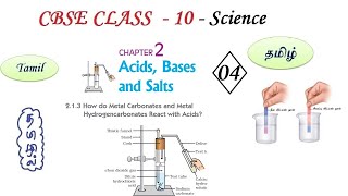 Acids Bases and Salts in Tamil  Part 04  Class 10 Science Chapter 2 Chemistry in Tamil CBSE [upl. by Cybil899]