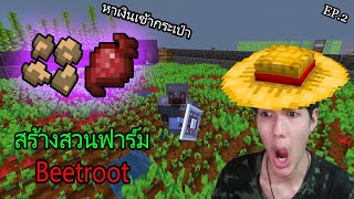 Minecraft  เซิฟเวอร์ ทำสวนฟาร์ม BeetRoot งบน้อย EP2 [upl. by Ehrman]