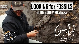 BONING for WOOLLY MAMMOTH at the Boneyard Alaska raw footage [upl. by Nomled]