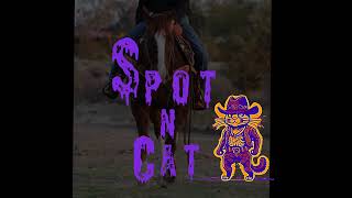 Spot N Cat [upl. by Palmira]