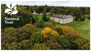 See how the National Trust is planting a new generation of trees at Wallington in Northumberland [upl. by Orelle]