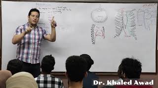 Cardiopulmonary 7 Anatomy of mediastinum by Dr Khaled Awad [upl. by Nirrat]