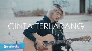 Cinta Terlarang  The Virgin Cover by Tereza [upl. by Merrell]