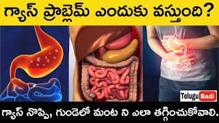 Gas Problem Explained Telugu  Gastric Causes Symptoms Treatment in Telugu How to Cure Gas Pain [upl. by Floria]