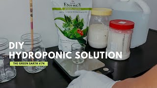 How to Make Your Own Hydroponic Solution at Home  DIY Hydroponic Nutrients [upl. by Iglesias889]