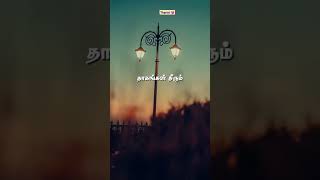 Paadu nilavee reels lovesong song lovemusic [upl. by Neltiac]