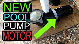 How to Replace Pool Pump Motor StaRite  Century [upl. by Peggir]