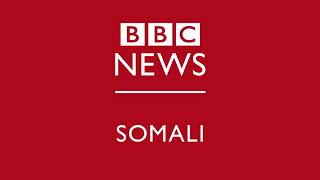 Idaacada galabnimo ee BBC Somali TV 15 11 2024 [upl. by Akeirahs]