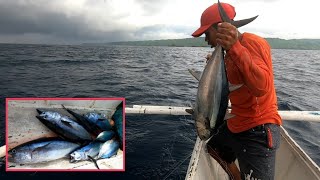 AMAZING Tuna Traditional Handline Fishing in Mindoro Philippines [upl. by Agnimod]