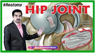 HIP Joint Anatomy Animation  Ligaments Movements Blood supply Nerve supply  USMLE Step 1 [upl. by Yzdnil]