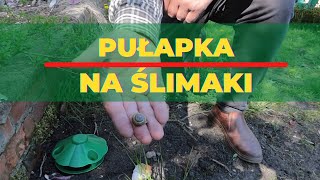 Pułapka na ślimaki [upl. by Michaelina]