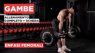 Allenamento completo GAMBE  enfasi femorali [upl. by Quartas]