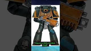 Obscure Space Marine Chapter The Hammers of Dorn spacemarines warhammer40k imperialfists [upl. by Earaj]