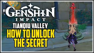 Secret of Tianqiu Valley Solution Genshin Impact [upl. by Tinaret]