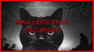 MAULLIDOS EN LA OSCURIDAD [upl. by Goldman]