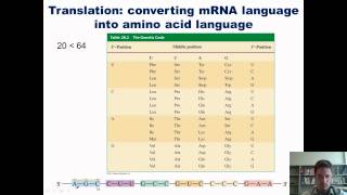 Chapter 28 – Nucleic Acid Chemistry Part 2 of 2 [upl. by Byrn]