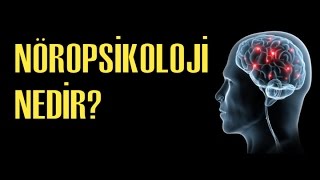 Nöropsikolojiye Giriş1 Nöropsikoloji Nedir [upl. by Favian]