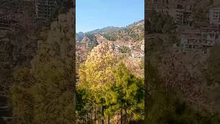 Wadiyan mera Daman hindisong song music oldsong viralvideo beautiful view [upl. by Pelligrini]