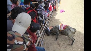 Toros Populares Sangolqui 2018  Sustos Cogidas y Saltos [upl. by Alakim]