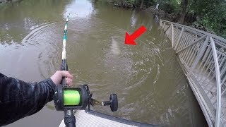 Catching HUGE Catfish in the Backwaters of a FLOODED CREEK [upl. by Eeimaj]