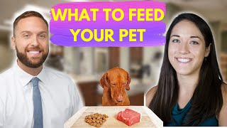 Veterinary Nutritionist Explains Raw Dog Food Diet and Much More [upl. by Carilla]