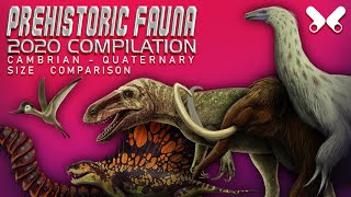 Prehistoric Animals Size Comparison  2020 COMPILATION Cambrian Quaternary [upl. by Bandur]