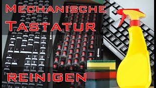 How to Mechanische Tastatur reinigen [upl. by Jaan]